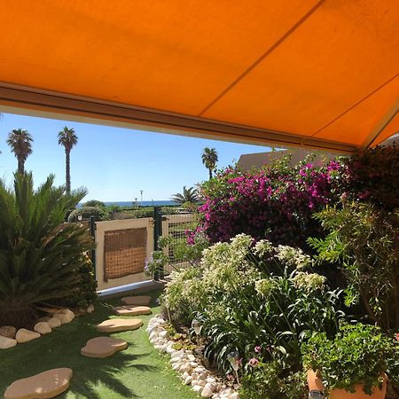 Le Jardin De La Plage - T2 - Terrasse Jardin 30M2 - Piscine - Clim- Wifi -Parking Canet-en-Roussillon Exteriör bild